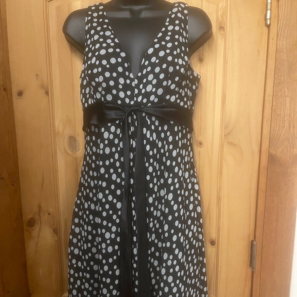 Positive Attitude petite dress